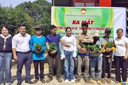 Ưu tiên nguồn lực, phát triển sinh kế phù hợp