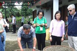 Hỗ trợ phụ nữ Đà Nẵng phát triển mô hình kinh tế xanh