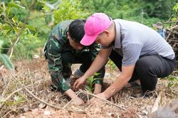 Nông dân chuyển đổi cây trồng
