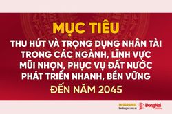[Infographic] Mục ti&ecirc;u thu h&uacute;t v&agrave; trọng dụng nh&acirc;n t&agrave;i trong c&aacute;c ng&agrave;nh, lĩnh vực mũi nhọn đến năm 2045 cụ thể ra sao?