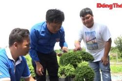 CLB Thanh niên khởi nghiệp: Kết nối để cùng phát triển