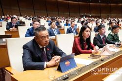 Đại biểu Quốc hội tỉnh góp ý vào một số dự án luật tại các phiên thảo luận tổ
