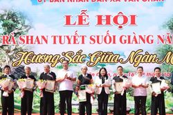Khai mạc Lễ hội Trà Shan tuyết Suối Giàng 2026