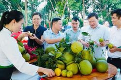 Sôi nổi không gian “Hoa trái bốn mùa - Trải nghiệm và kết nối” tại Công viên Mường Lò