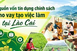 Nguồn vốn tín dụng chính sách cho vay tạo việc làm tại Lào Cai