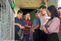 Hiệu quả d&ograve;ng vốn t&iacute;n dụng ưu đ&atilde;i ở Định Ho&aacute;