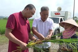 Yên Thủy lấy thi đua yêu nước làm động lực phát triển