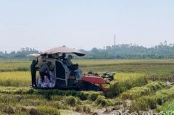 Yên Kỳ thúc đẩy sản xuất vụ Đông