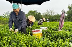 Tân Cương nhân rộng những xóm không còn hộ nghèo