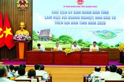 Quảng Ngãi khơi thông nguồn lực đất đai