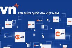 Kéo dài thời gian miễn phí tên miền .id.vn, .biz.vn lên 3 năm