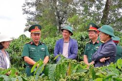 Phát triển kinh tế tuần hoàn hướng tới sản xuất cà phê hữu cơ bền vững