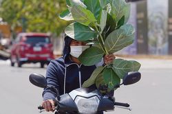 TP.HCM có thể tăng 110 ngày nắng nóng, quy hoạch đô thị cần tính trước rủi ro