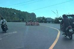 Xác minh vụ nhóm người ngồi chụp ảnh giữa khúc cua trên đèo Hải Vân