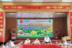 Ứng Hòa: Phát triển nông nghiệp từ chuỗi giá trị