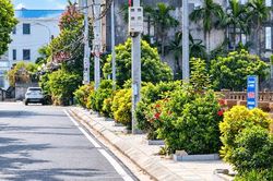 Xã Đan Phượng: Những điều bình dị, dựng xây quê hương đáng sống