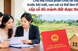 Cha mẹ chưa phân chia tài sản trước khi mất, con cái có thể làm thủ tục cấp sổ đỏ lần đầu cho mảnh đất được thừa kế?
