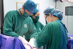 Xuyên đêm vượt biển cấp cứu sản phụ vỡ ối trên đảo Bản Sen