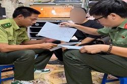 Phát hiện nam thanh niên nuôi nhốt 30 cá thể trăn, rắn tại nơi ở