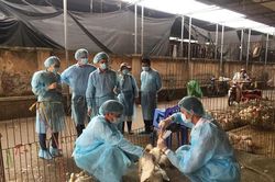Tăng cường quản l&yacute; chất lượng n&ocirc;ng sản, thực phẩm những th&aacute;ng cuối năm