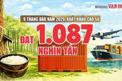 Cao su Việt Nam thu gần 2,2 tỉ USD, Trung Quốc chiếm gần 59%