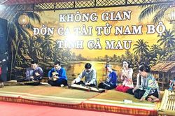 C&agrave; Mau tổ chức Ng&agrave;y Văn h&oacute;a Việt Nam với nhiều hoạt động phong ph&uacute;