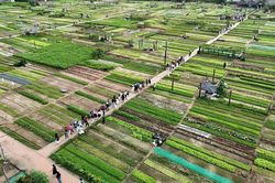 Đ&agrave; Nẵng:X&acirc;y dựng th&ocirc;n n&ocirc;ng th&ocirc;n mới gắn với văn h&oacute;a, m&ocirc;i trường v&agrave; chuyển đổi số