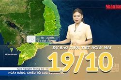 [Video] Dự b&aacute;o thời tiết đ&ecirc;m nay v&agrave; ng&agrave;y mai 19/10/2026: Mưa lớn gia tăng tại Nam Bộ, Bắc Bộ v&agrave; Trung Bộ rải r&aacute;c c&oacute; mưa v&agrave;i nơi