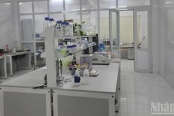 Th&agrave;nh lập đo&agrave;n kiểm tra Trung t&acirc;m Ứng dụng khoa học v&agrave; c&ocirc;ng nghệ tỉnh Quảng Ng&atilde;i
