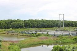Vĩnh Long phục hồi hệ sinh th&aacute;i rừng, gắn với ph&aacute;t triển du lịch