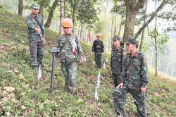 Ho&agrave;n th&agrave;nh r&agrave; ph&aacute; bom m&igrave;n tr&ecirc;n 300ha đất tại L&agrave;o Cai