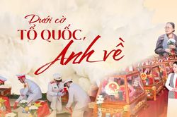 Dưới cờ Tổ quốc, Anh về