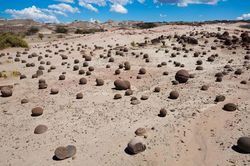 'Thung lũng Mặt Trăng' và những hóa thạch hé lộ buổi bình minh của khủng long