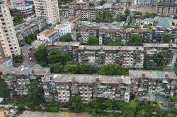 Chung cư gần 50 năm tuổi ở Nghệ An trơ cốt thép, rễ cây bám kín tường