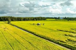 Ph&aacute;t triển kinh tế tầm thấp - B&agrave;i 3: Cơ chế 'luồng xanh' xử l&yacute; sự cố m&ocirc;i trường