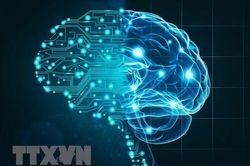 Th&aacute;ch thức kiểm chứng th&ocirc;ng tin trong thời đại AI
