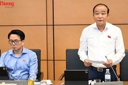 Đại biểu L&atilde; Thanh T&acirc;n: Đề xuất cơ chế quản trị điểm nghẽn thể chế