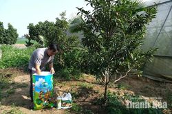 Phụ phẩm nông nghiệp: Từ thứ bỏ đi thành sản phẩm hàng hóa
