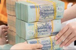 L&atilde;i suất cao, loạt doanh nghiệp nắm nhiều tiền mặt hưởng lợi