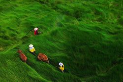 Sắc m&agrave;u phụ nữ Đ&agrave; Nẵng