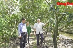 Thêm điểm tựa, tiếp sức nông dân Tháp Mười phát triển kinh tế