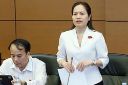 Đại biểu Siu Hương kiến nghị tháo gỡ vướng mắc trong xử lý tài sản công