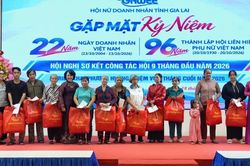 Hội Nữ doanh nh&acirc;n tỉnh Gia Lai gặp mặt kỷ niệm 96 năm Ng&agrave;y th&agrave;nh lập Hội LHPN Việt Nam