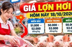 Gi&aacute; lợn hơi h&ocirc;m nay 18/10/2026: Thấp nhất 50.000 đồng/kg
