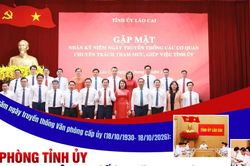Văn ph&ograve;ng Tỉnh ủy n&acirc;ng cao chất lượng tham mưu, phục vụ
