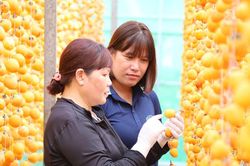 Đa dạng sản phẩm từ hồng - Đặc sản m&ugrave;a thu Đ&agrave; Lạt đ&oacute;n Festival Hoa