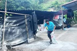 X&atilde; Kim Đồng chủ động ngăn chặn dịch tả lợn ch&acirc;u Phi