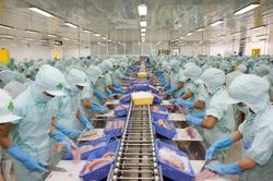 Ho&agrave;n thuế nhập khẩu: Doanh nghiệp thủy sản cần lưu &yacute; g&igrave;?