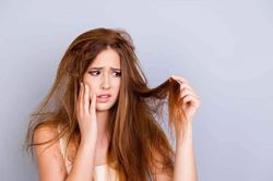 T&oacute;c kh&ocirc; xơ, dễ g&atilde;y rụng: C&oacute; n&ecirc;n gội đầu mỗi ng&agrave;y?