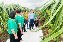 Lan tỏa những mô hình xanh